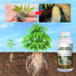 🌿 Stimulez la Croissance de Vos Plantes – Engrais Spécial Racines avec Offre 2 + 1 Gratuit ! 🌱💧
