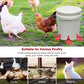 🐔50% RABATT⏰ Automatischer Wasserspender für Hühner – hält Wasser sauber und frisch für gesunde Aufzucht💧