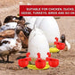 🐔50% RABATT⏰ Automatischer Wasserspender für Hühner – hält Wasser sauber und frisch für gesunde Aufzucht💧