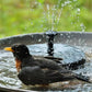 ⏳Zeitlich begrenztes Sonderangebot 63 % Rabatt⏰Kompakte Solar-Vogelbrunnenpumpe – Beleben Sie Ihren Garten! 🐦️