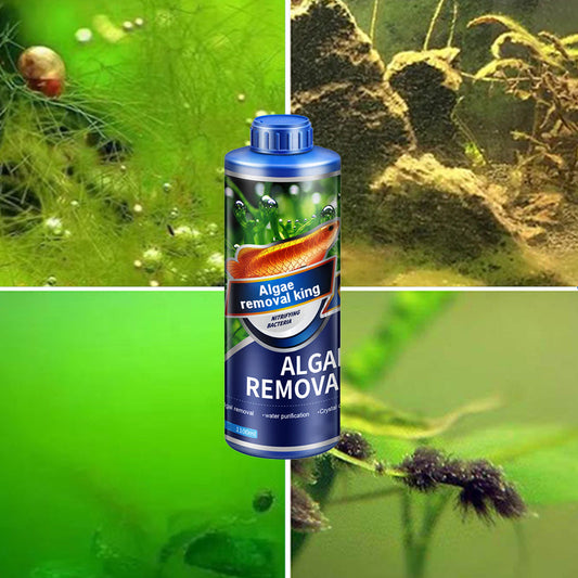 ✅👍Crazy Aquatic Weed Algae Remover