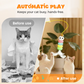 🐈 50% RABATT! 🎾 Automatisches einziehbares Katzenspielzeug – Bewegungsaktiviert, interaktiv & jagdfördernd – Ideal gegen Langeweile für Stubentiger zu Hause ✨