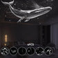 🌙 HALF PRICE DEAL 💥 2-in-1 Sternenprojektor & Nachtlicht ✨ verwandelt dein Zuhause in einen Traumhimmel 🌌