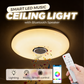 Intelligente LED-Musik-Deckenleuchte mit Bluetooth-Lautsprecher
