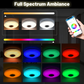 Intelligente LED-Musik-Deckenleuchte mit Bluetooth-Lautsprecher