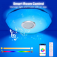 Intelligente LED-Musik-Deckenleuchte mit Bluetooth-Lautsprecher