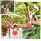 🍇🌿 Reb- & Pflanzenbinder für Obstbäume, Wein & Gemüse – 50% RABATT! Handliches Bindegerät für Gewächshaus & Garten – spart Zeit & Material. 🔥✂️