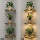 🌿✨ Schwebendes Wandregal mit LED-Licht – Goldenes Pflanzendisplay | Jetzt 50% Rabatt 🏡
