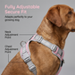 🐕 50 % Rabatt ! Hundegeschirr ohne Zug – Geschirr- und Leinen-Setendlich entspannt! 🐕 Atmungsaktives Mesh, reflektierende Gurte & Haltegriff ⚡ Limitiertes Angebot ⏳