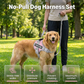 🐕 50 % Rabatt ! Hundegeschirr ohne Zug – Geschirr- und Leinen-Setendlich entspannt! 🐕 Atmungsaktives Mesh, reflektierende Gurte & Haltegriff ⚡ Limitiertes Angebot ⏳