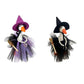 ✨ JETZT 50 % RABATT! !✨Halloween Veranda-Gans Hexenkostüm-Set