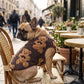 🐶 Warme Winterjacke für Hunde – gefüttert & haarfrei, kuschelig & schützend für kalte Herbst- & Wintertage
