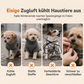 🔥50 % Rabatt🔥 Warmer Winterhundemantel mit Reflexstreifen & Geschirr – für kleine & mittelgroße Hunde ❄️
