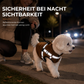 🔥50 % Rabatt🔥 Warmer Winterhundemantel mit Reflexstreifen & Geschirr – für kleine & mittelgroße Hunde ❄️